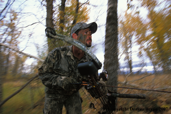 Bow hunter in forest.
