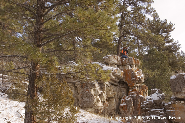 Big game hunter glassing for game.