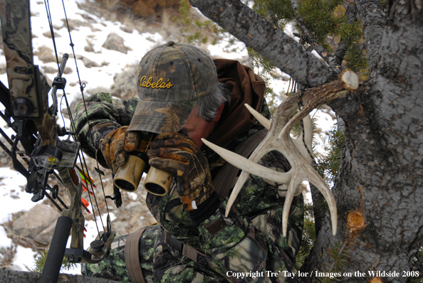 Bowhunter glassing from tree stand