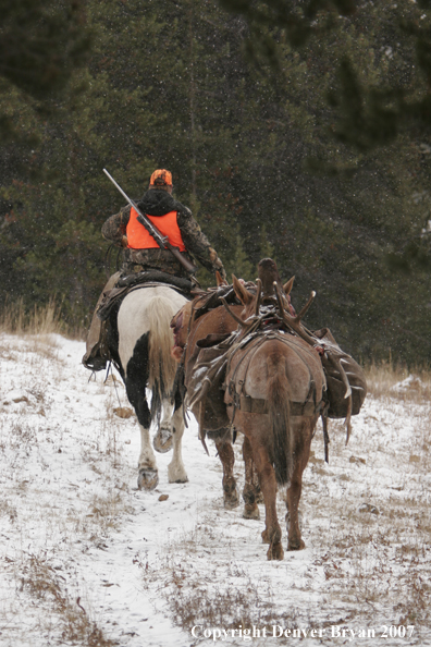 ELk hunter with pack string