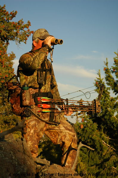 Bowhunter glassing ridge