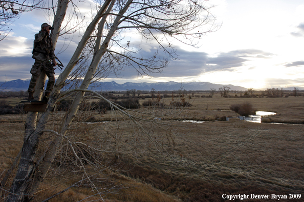 Bowhunter standing in tree stand.