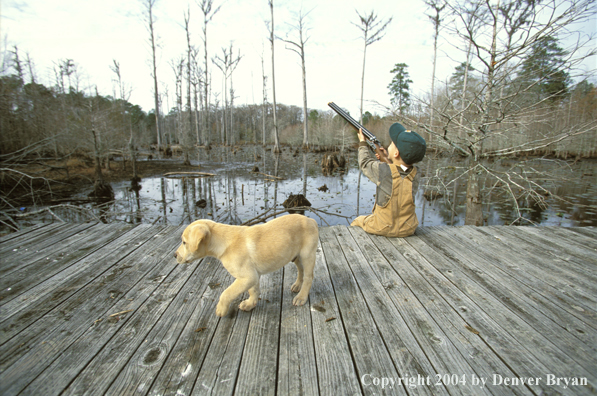 Young hunter aiming/shooting with yellow Lab pup.