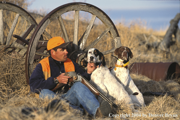 Upland bird hunter and dogs with Hungarian partridge.