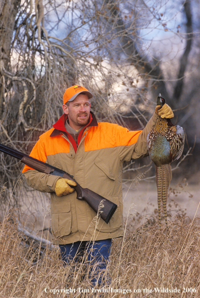 Upland game bird hunter with bagged pheasant.  