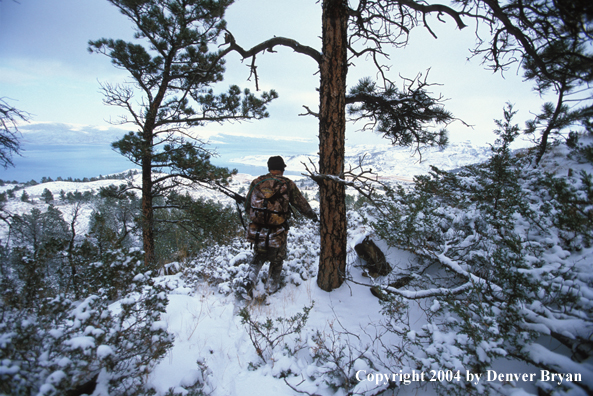 Big game hunter tracking game.