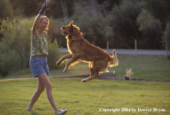 Woman playing with golden Retriever