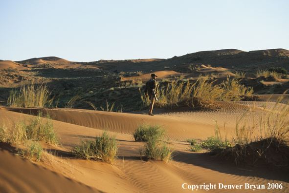 African hunter walking across sanddunes.