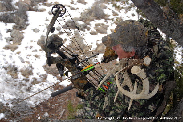 Bowhunter hunting from tree stand