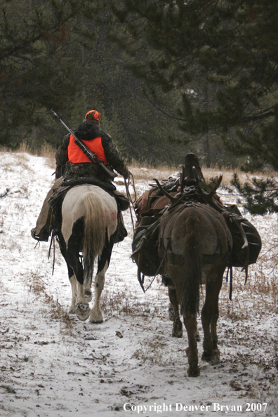 ELk hunter with pack string