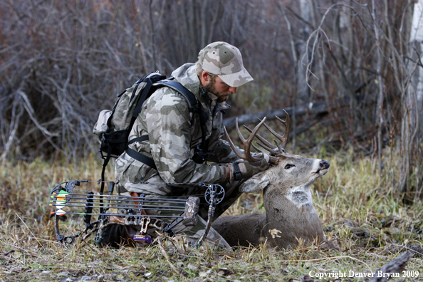 Bowhunter with bagged whitetail buck.