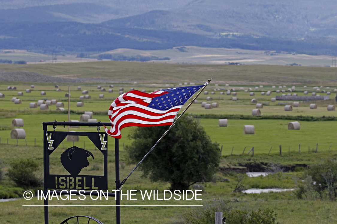 Ranch entrance with American flag.
