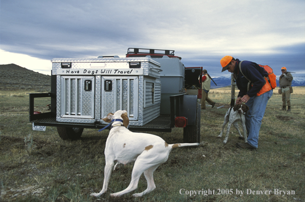 Upland bird hunters and dogs getting ready.