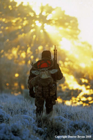 Hunter with Mule Deer