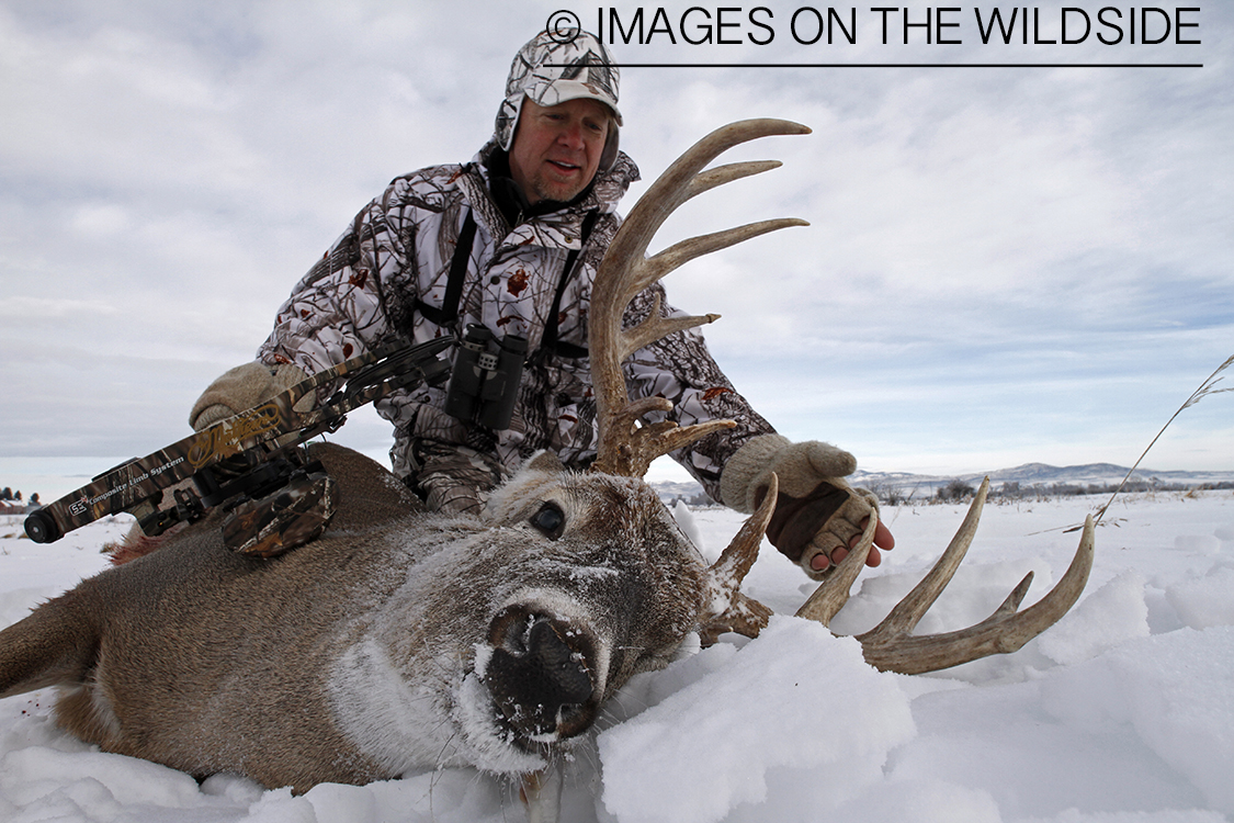 Bowhunter with bagged white-tailed deer.