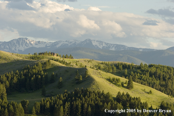 Bridger Mountains of Montana.