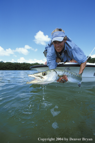 Saltwater flyfisherman releasing barricuda.