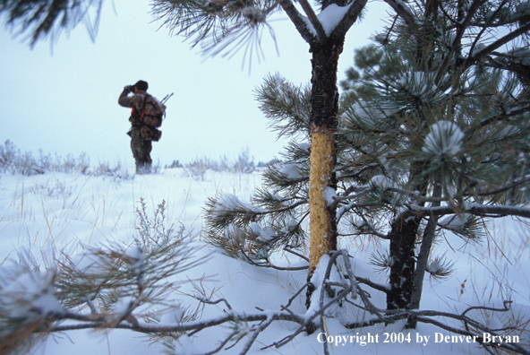 Big game hunter glassing.