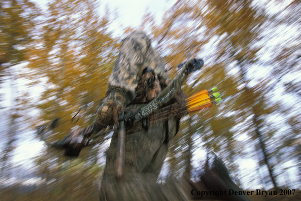 Bow hunter in forest.