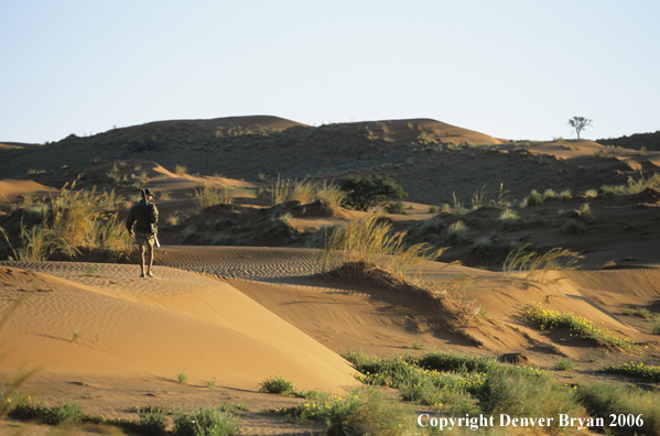 African hunter walking across sanddunes.