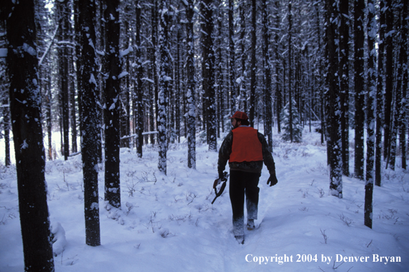 Big game hunter tracking game.
