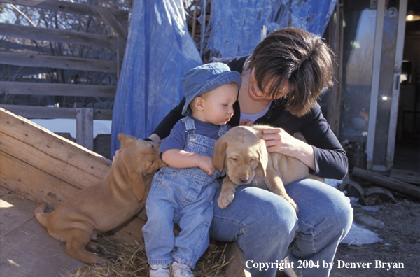 Woman and child with yellow Labrador Retriever puppies