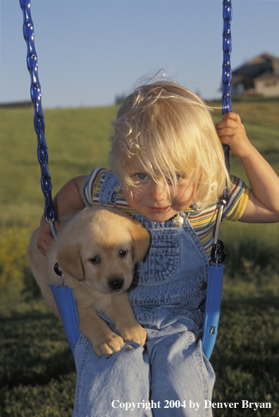Child with yellow Labrador Retriever puppy