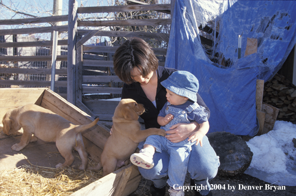 Woman and child with yellow Labrador Retriever puppies