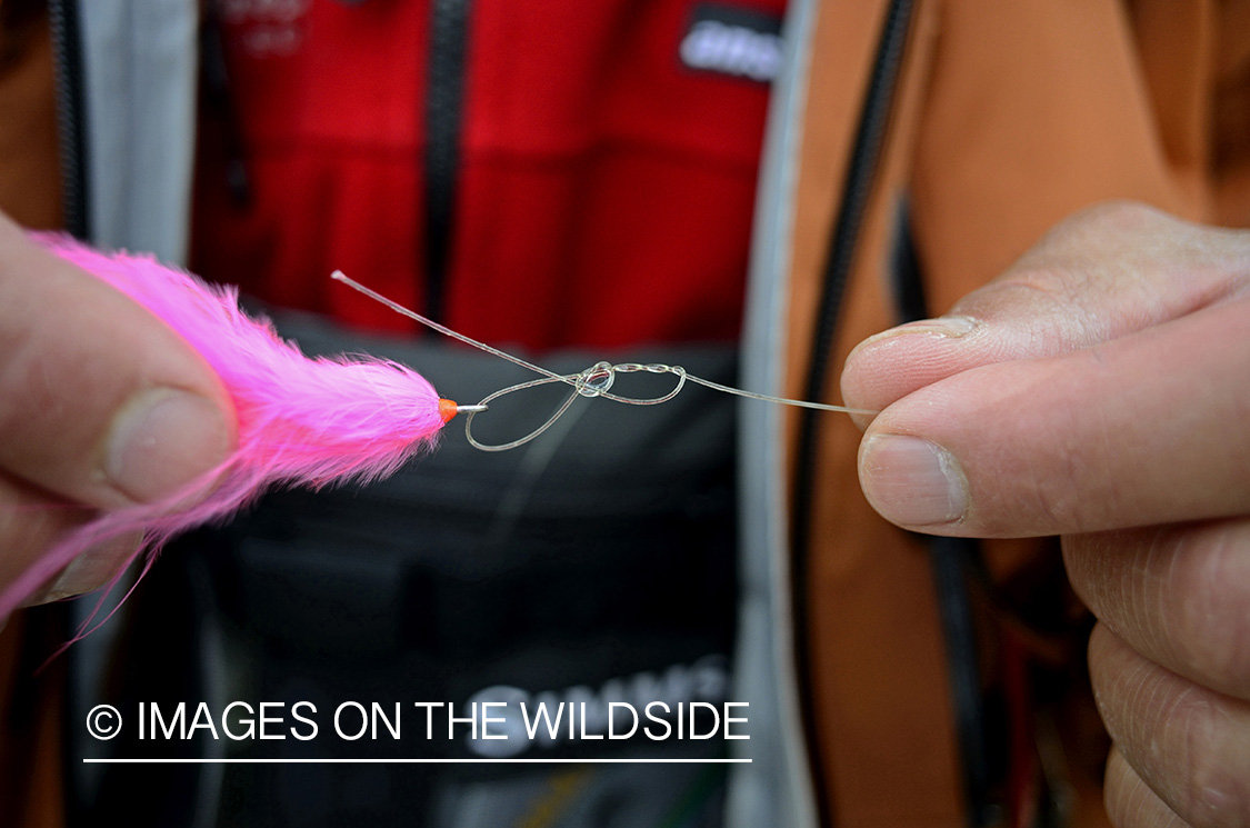 Flyfisherman tying Arctic Char fly.