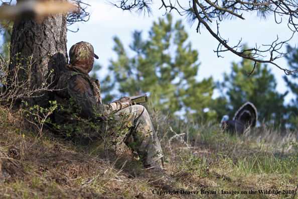 Hunter with (Merriam's) turkey in sights