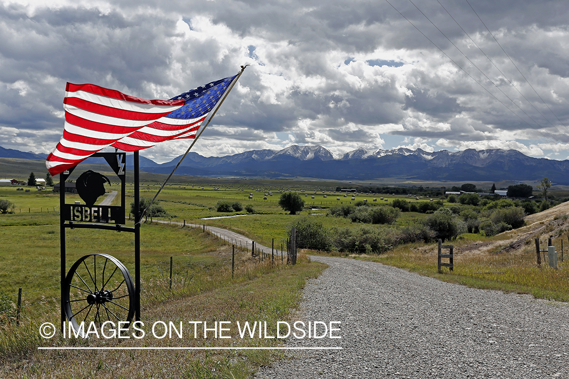 Ranch entrance with American flag.
