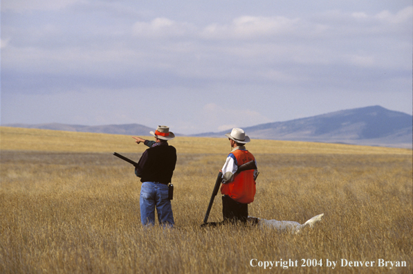 Upland bird hunters with English Setter.