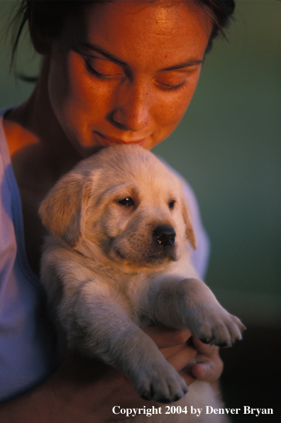Woman with yellow Labrador Retriever puppy