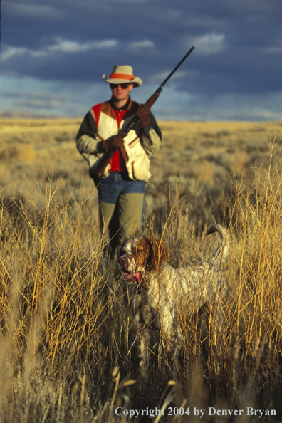 Upland bird hunter coming in behind English Setter on point.