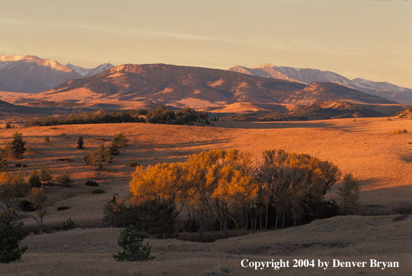 Montana landscape, Crazy Mountains in background