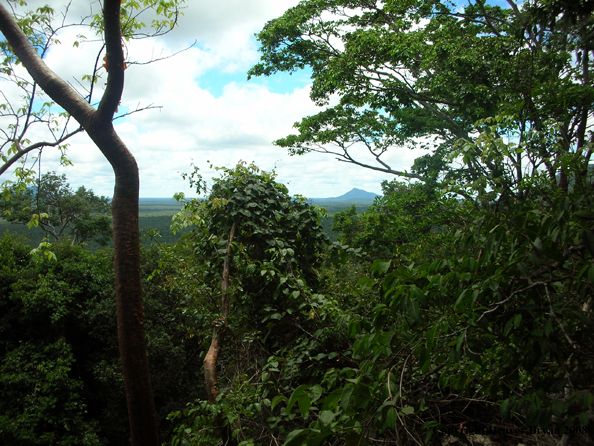 Flyfisherman in jungle