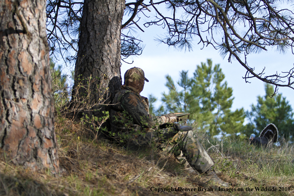 Hunter with (Merriam's) turkey in sights