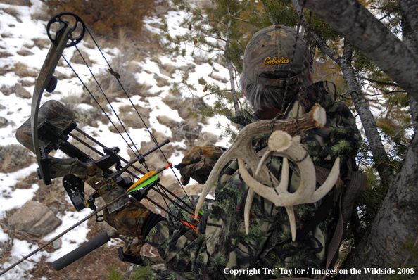 Bowhunter hunting from tree stand