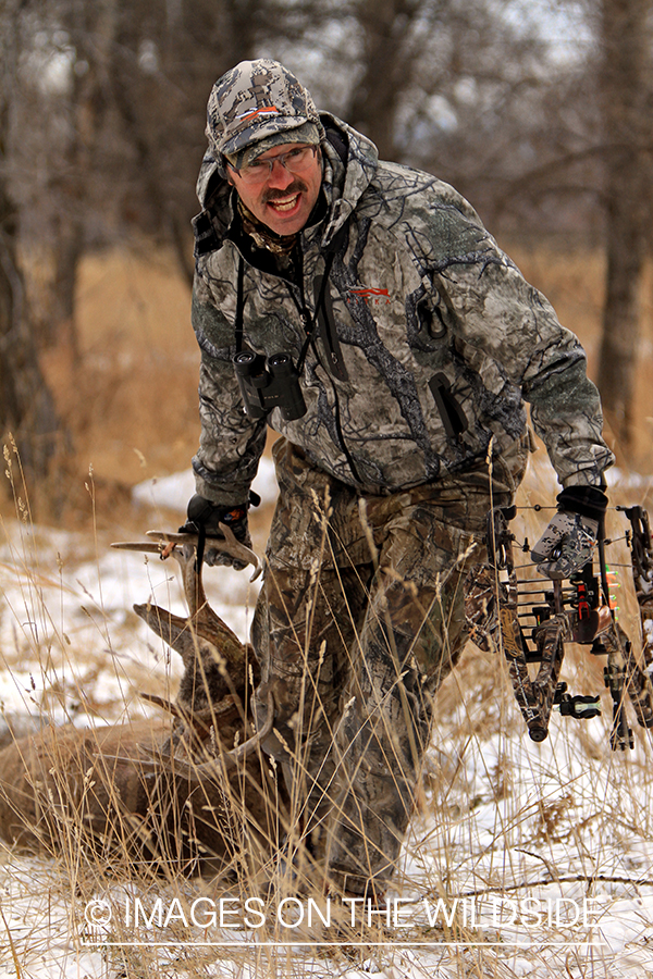 Bowhunter dragging bagged white-tailed buck.