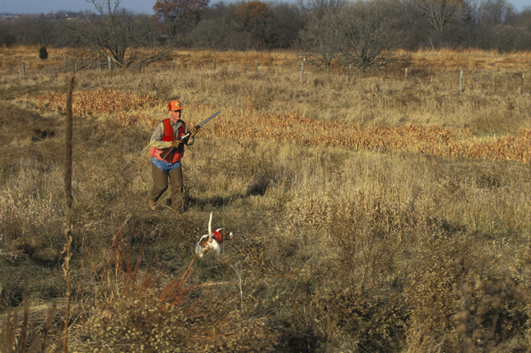 Upland bird hunter moving up on English Pointer.
