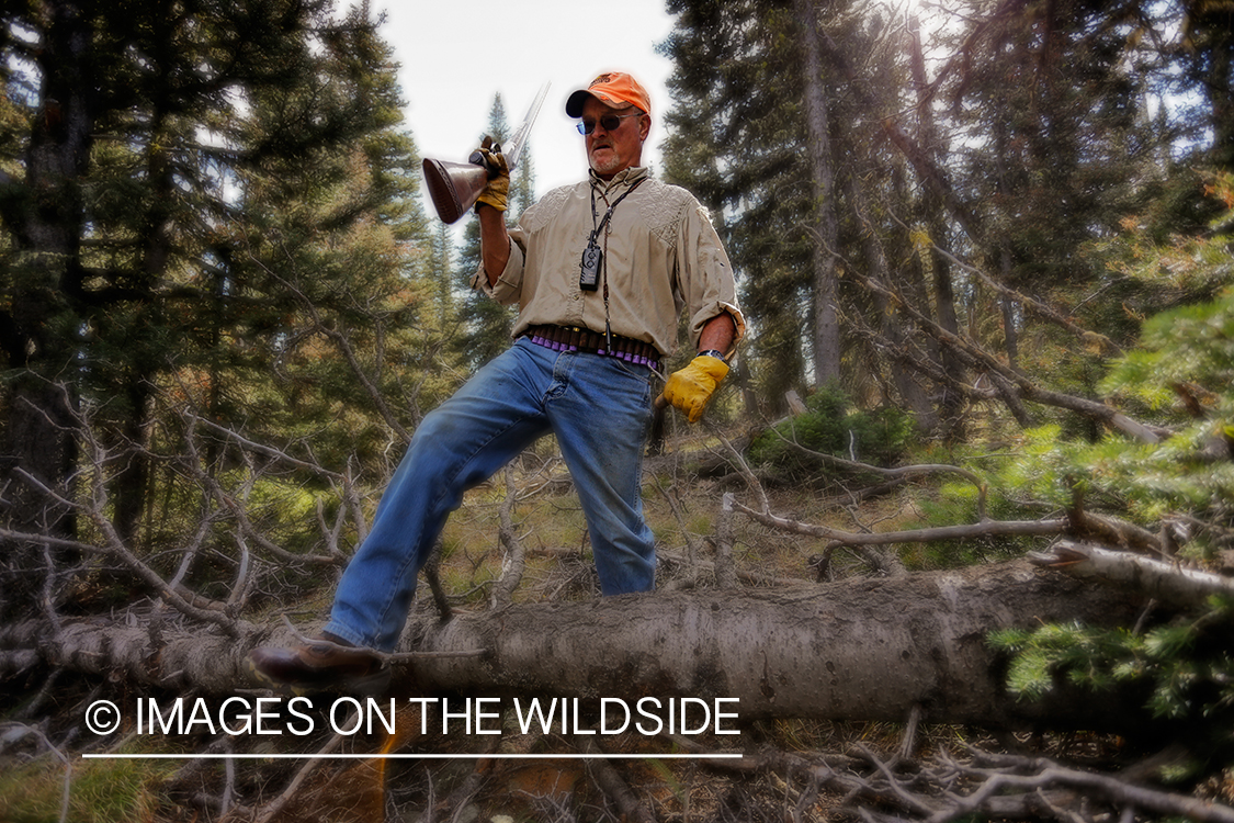 Upland game bird hunter in field hunting Dusky (mountain) grouse.
