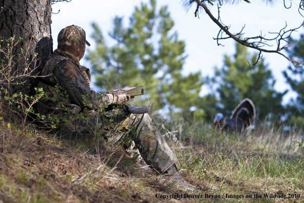 Hunter with (Merriam's) turkey in sights