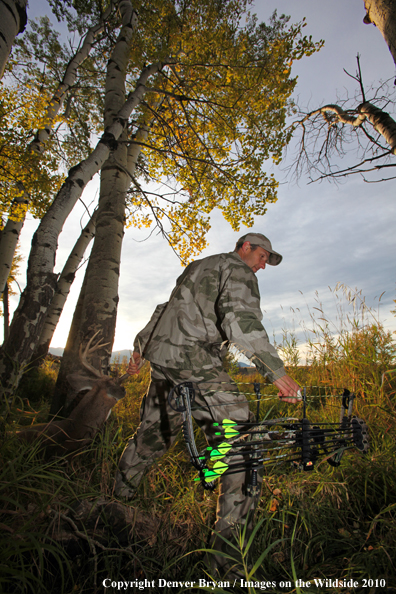 Bowhunter dragging downed white-tailed buck.