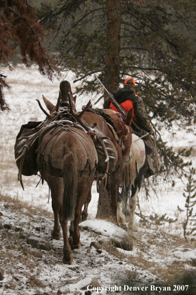 ELk hunter with pack string