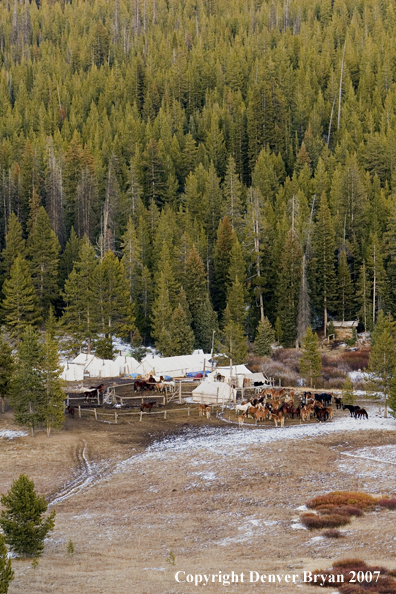 Elk camp