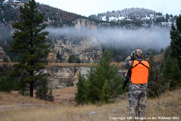 Big game hunter glassing for elk.