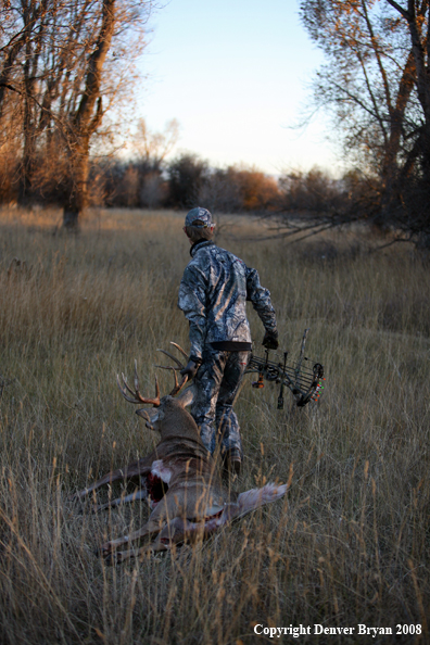 Bowhunter with Whitetail Deer