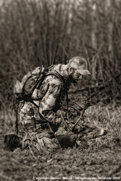 Bowhunter with bagged whitetail buck. (Original image # 11049-016.16D)