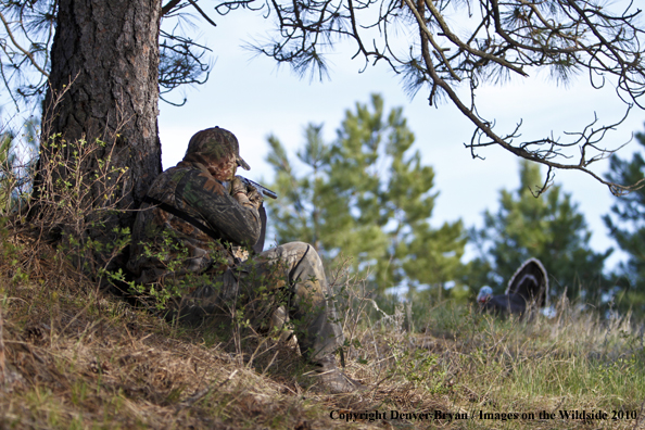 Hunter with (Merriam's) turkey in sights