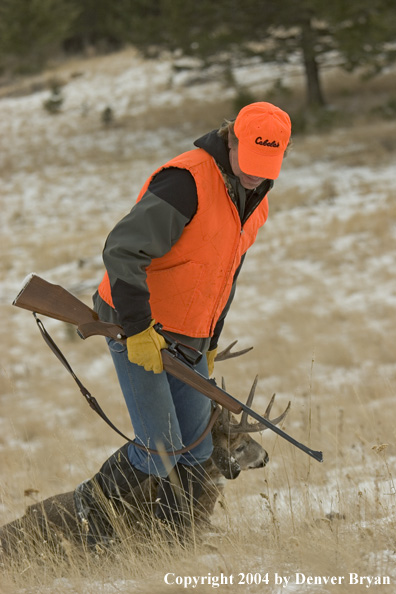 Big game hunter dragging bagged white-tailed deer buck.